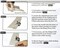 3 Sizes Rolled Hem Pressure Foot Sewing Machine Presser Foot Hemmer Foot Set (1/2 Inch, 3/4 Inch, 1 Inch) for Singer, Brother, Janome and Other Low Shank Adapter (Rolled Hem Presser Feet)